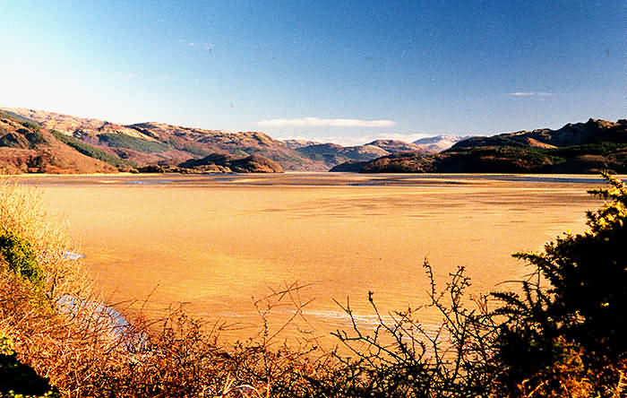 low water -  Mawddach Estuary: