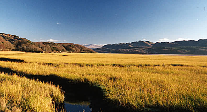view across estuary from road at Glandwr